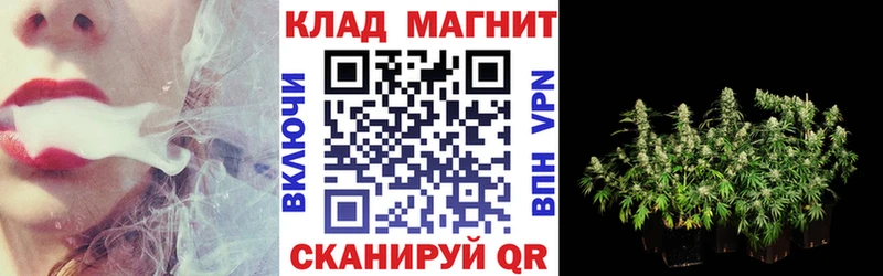 Купить закладку ГАШ  Бошки Шишки  COCAIN  Меф мяу мяу  Новосибирск