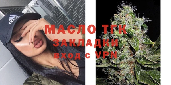 круглые Гусев