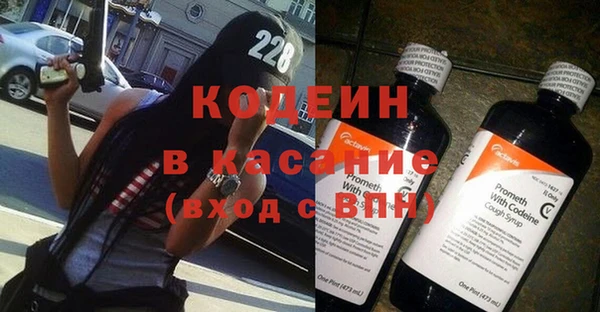 круглые Гусев