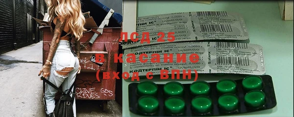 круглые Гусев