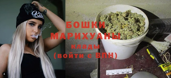 круглые Гусев