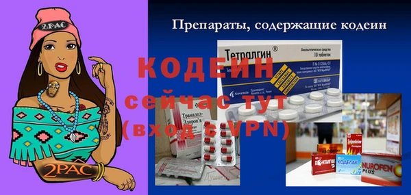 круглые Гусев