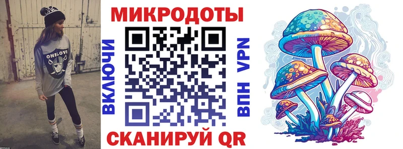 Купить закладки  Новосибирск  Галлюциногенные грибы мицелий 